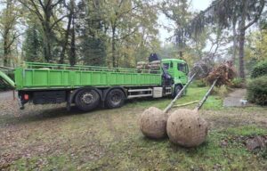 Création paysagère à Saint-Arnoult-en-Yvelines par l'entreprise EcoVerde Parcs et Jardins. Pose de clôtures, création de pelouse, création de massif et plantation d'arbre.