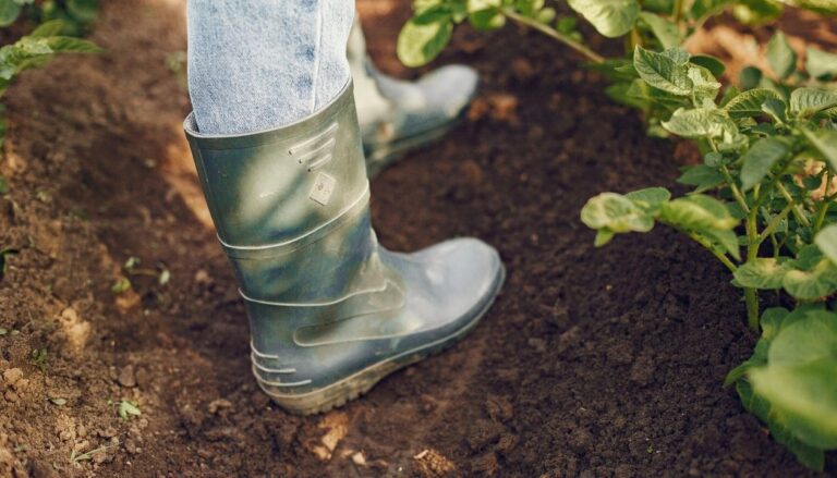 préparer le printemps et soigner ses espaces verts