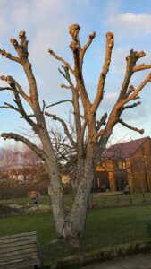 EcoVerde Parcs et Jardins réalisations
