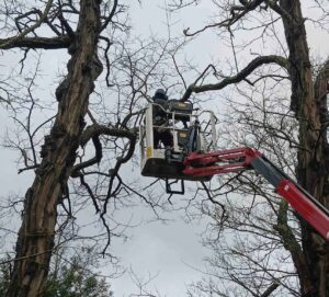 EcoVerde Parcs et Jardins réalisations