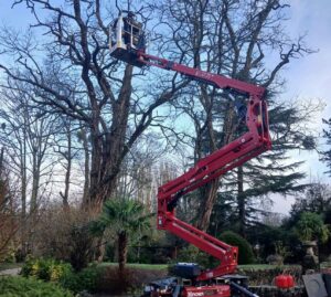 EcoVerde Parcs et Jardins réalisations
