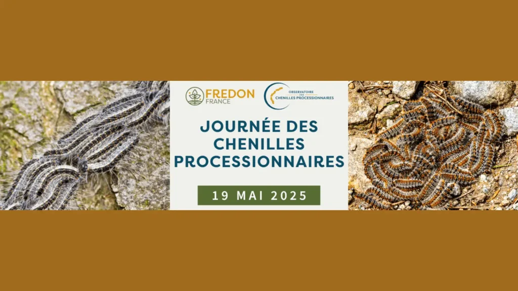 Le 19 mai journée de sensibilisation des chenilles processsionnaires