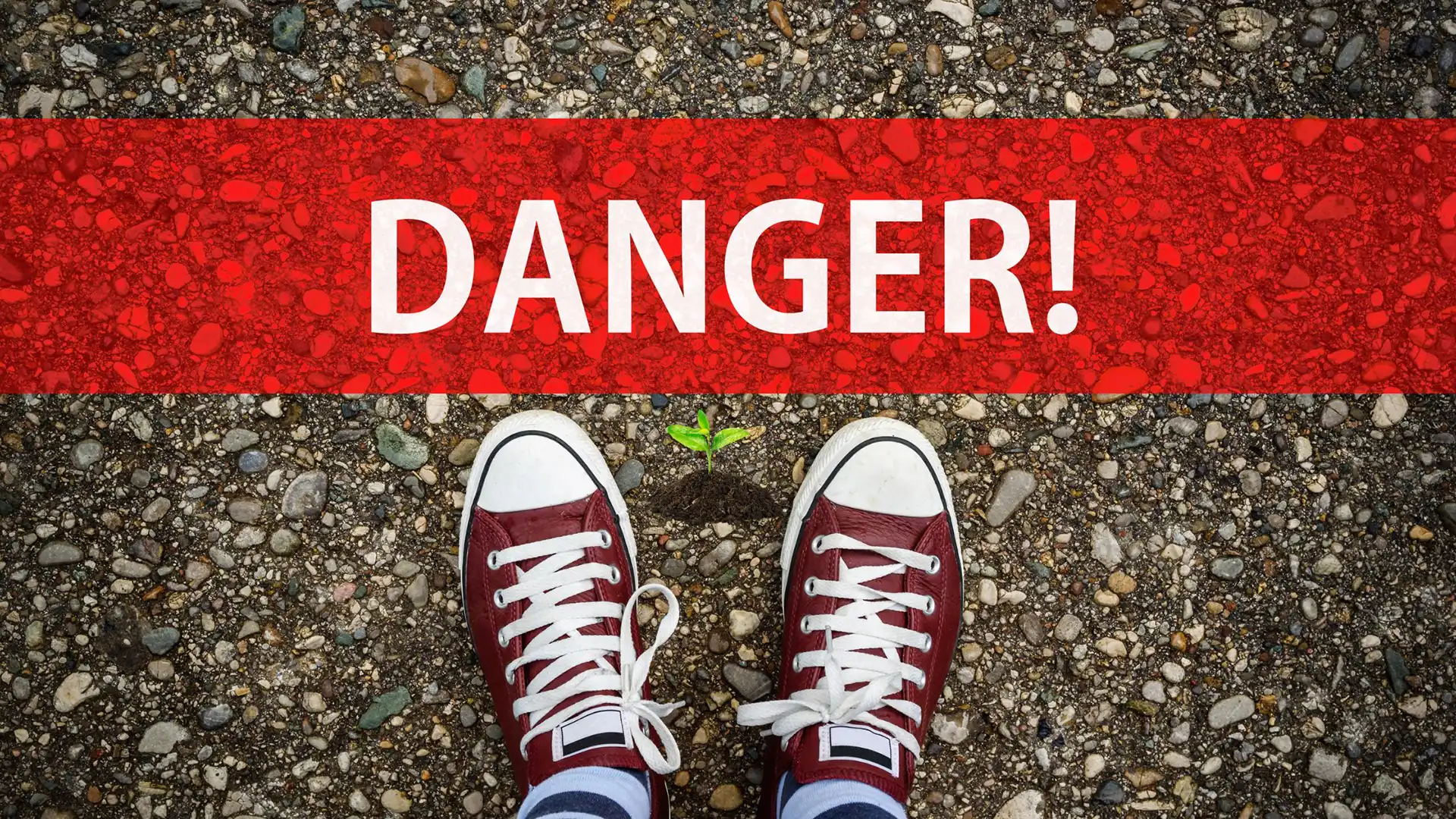 Cette image représente un sol avec un encart rouge marqué danger et des chaussures types basket, puis une jeune pousse devant ces dernières. Ceci est la bannière d'un article de blog : rédigé par EcoVerde Parcs et Jardins pour illustrer les plantes dangereuses pour la santé des hommes et des animaux.