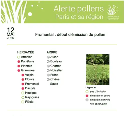 Ceci est l'image d'un bulletin pollinique appelé alerte pollens. Image d'illustration article de Blog sur le sujet "Plantes dangereuses pour la santé des hommes et des animaux" rédigé par AoteraWeb pour l'entreprise EcoVerde Parcs et Jardins, paysagiste, élagueur-grimpeur à Saint-Arnoult-en-Yvelines-en-Yvelines.