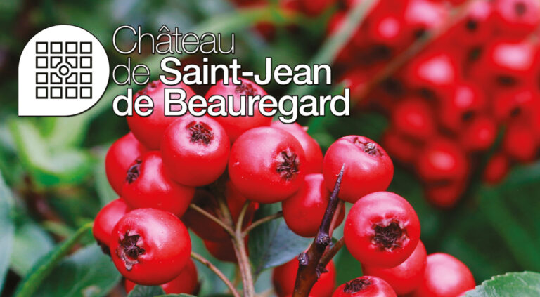 Fête des Plantes d’Automne