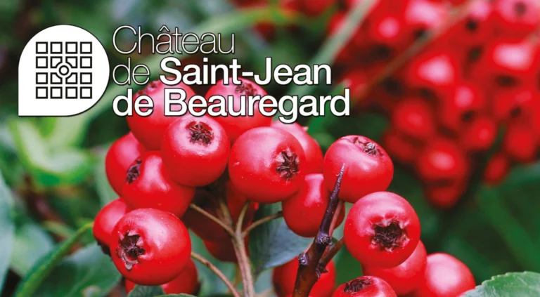 Fête des Plantes d’Automne