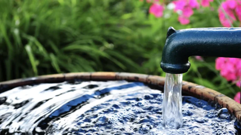 La gestion de l’eau au Jardin