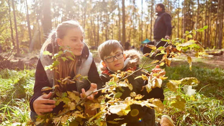 Reconnaître et identifier les arbres : guide pratique autour de Saint-Arnoult-en-Yvelines.