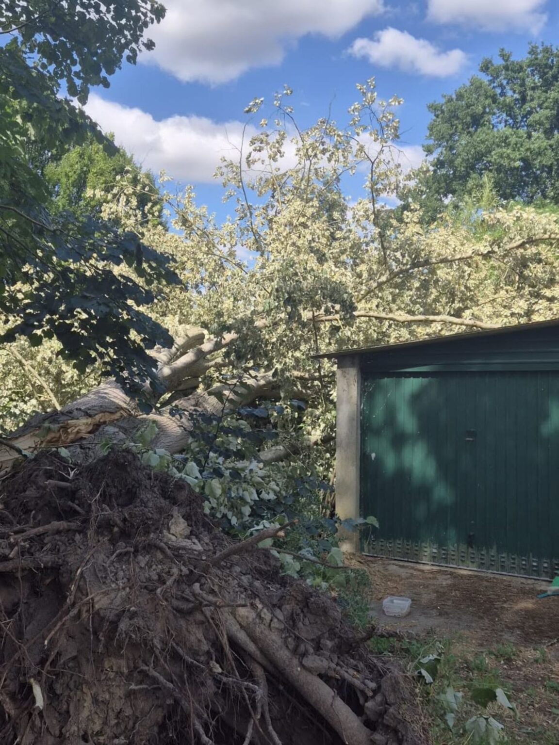 Arbre déraciné tombé sur un garage après tempête dans le sud des Yvelines